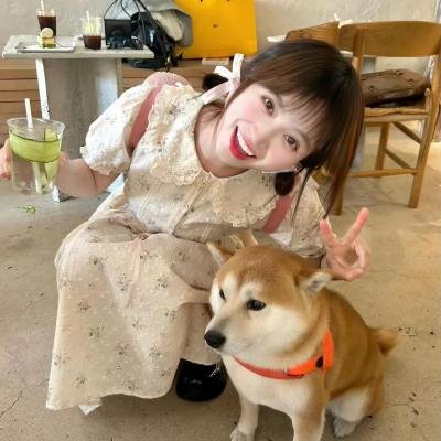 欢迎来到东莫村